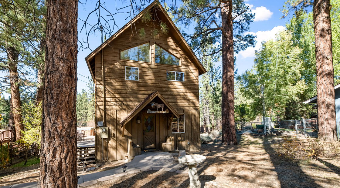 Gallery Whispering Pines